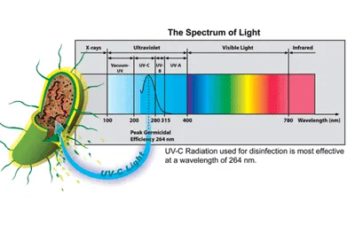 UV-C-light-in-UV-Disinfection-System UV-C-light-in-UV-Disinfection-System